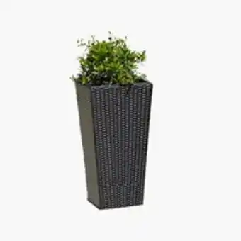 Pflanzkübel samara 31x31x50 braunspare 50%