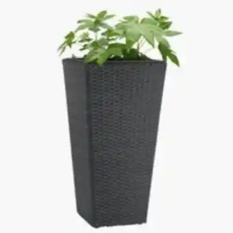 JYSK Pflanzkübel blommor 36x70 schwarz schnurspare 33% Angebot