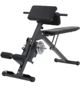 Hervis Bauch- rückentrainer Angebot