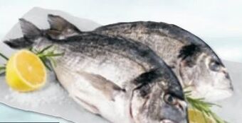 Maximarkt Goldbrasse Angebot