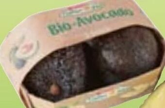 Maximarkt Bio Avocados Angebot