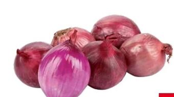 Transgourmet Zwiebel Angebot