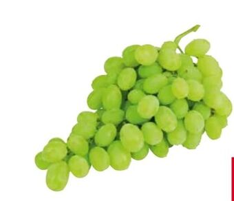 Transgourmet Trauben Angebot