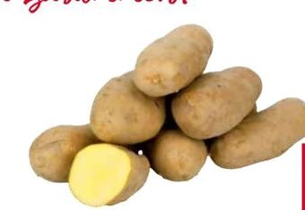 Transgourmet Kartoffeln Angebot