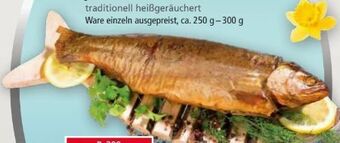 Norma Geräucherte Forelle Angebot