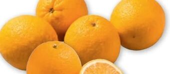 PENNY Orangen Angebot