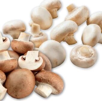 PENNY Champignons Angebot