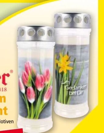 Norma Premium Grablicht Angebot