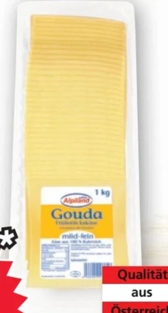 Norma Gouda Angebot
