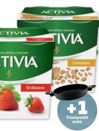 PENNY Activia Joghurt Angebot