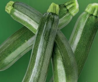 Lidl Zucchini Angebot