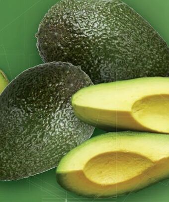 Lidl Avocados Angebot