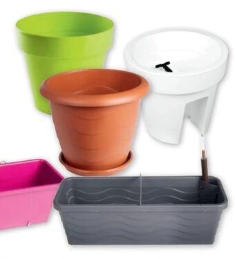 PENNY Blumentopf Angebot