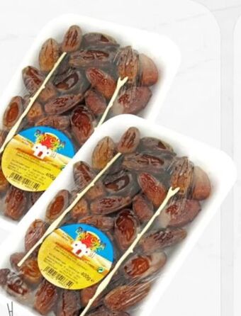 ETSAN Datteln Angebot