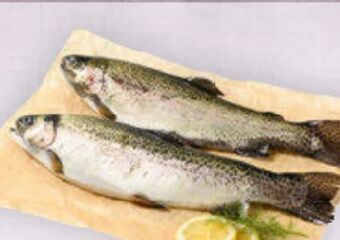 Billa Forelle Angebot