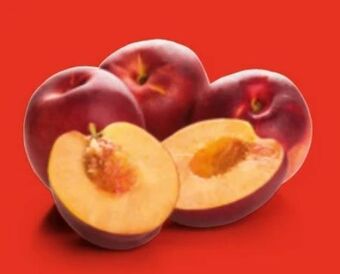 Hofer Nektarinen Angebot