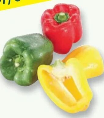 Metro Paprika Tricolore Angebot