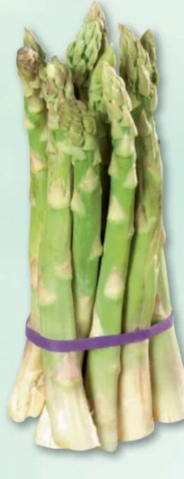 Metro Spargel Angebot