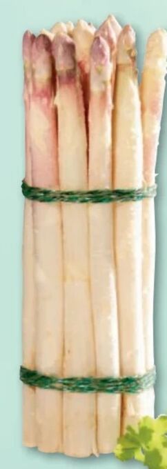 Metro Spargel Angebot