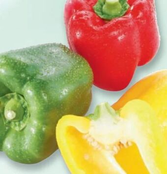 Metro Paprika Angebot