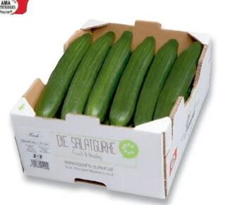 Metro Gurken Angebot