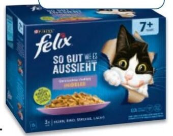 Metro Felix Katzennassnahrung Angebot