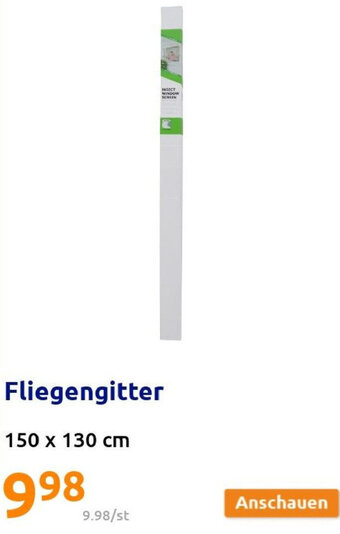 Action Fliegengitter Angebot
