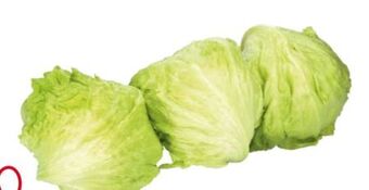 Transgourmet Eisbergsalat Angebot