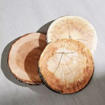 Möbelix Sitzkissen Wood Angebot