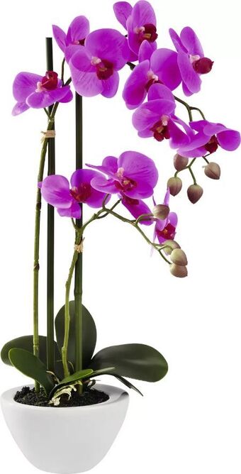 Mömax Kunstpflanze Orchidee Angebot