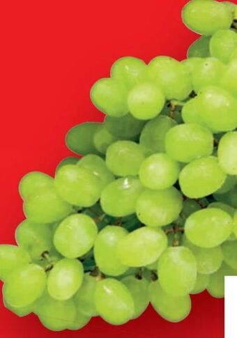 Lidl Trauben Angebot