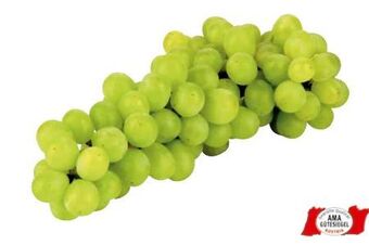 Transgourmet Trauben Angebot