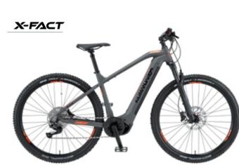 Hervis E-Bike E-Power Race 29 Angebot