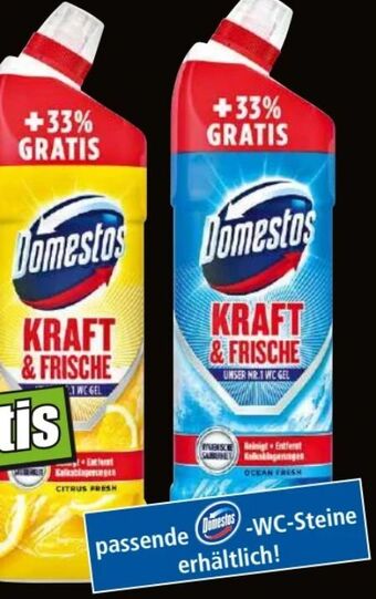 Norma WC Gel Angebot