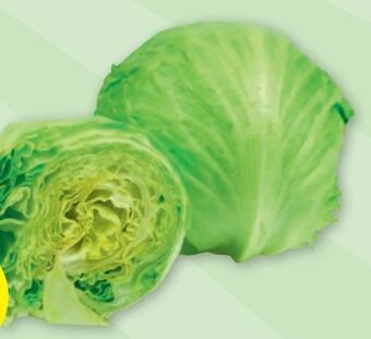PENNY Eissalat Angebot