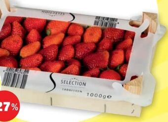 PENNY Premium Erdbeeren Angebot
