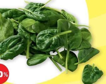 PENNY Spinat Angebot