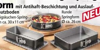 Norma Springform Angebot