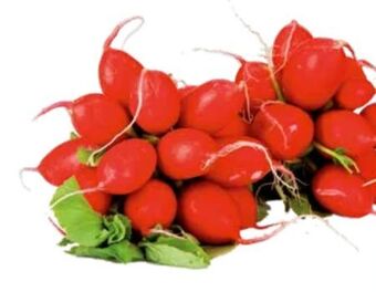 Transgourmet Radieschen Angebot