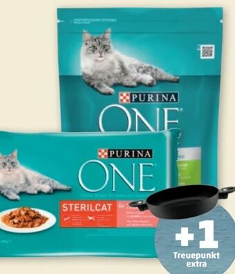 PENNY One Katzennahrung Angebot