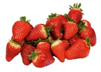 Transgourmet Erdbeeren Angebot