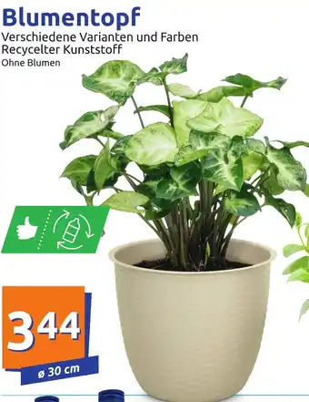 Action Blumentopf Verschiedene Varianten und Farben Recycelter Kunstsoff Angebot