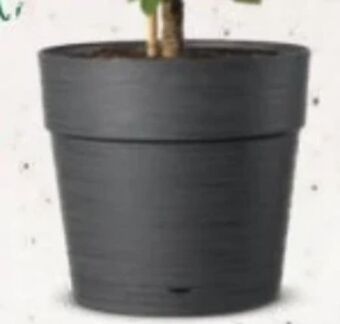 Bellaflora Topf Vaso Saver Angebot