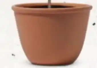 Bellaflora Topf Carpi Angebot