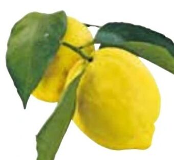 Interspar Zitronen Angebot