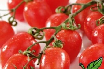 Spar Datterini Tomaten Angebot
