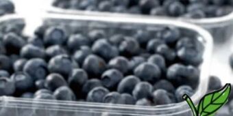 Spar Heidelbeeren Angebot