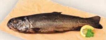 Billa Forelle Geräuchert Angebot