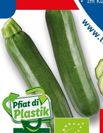Lidl Bio-Zucchini Angebot