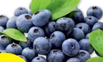 PENNY Heidelbeeren Angebot